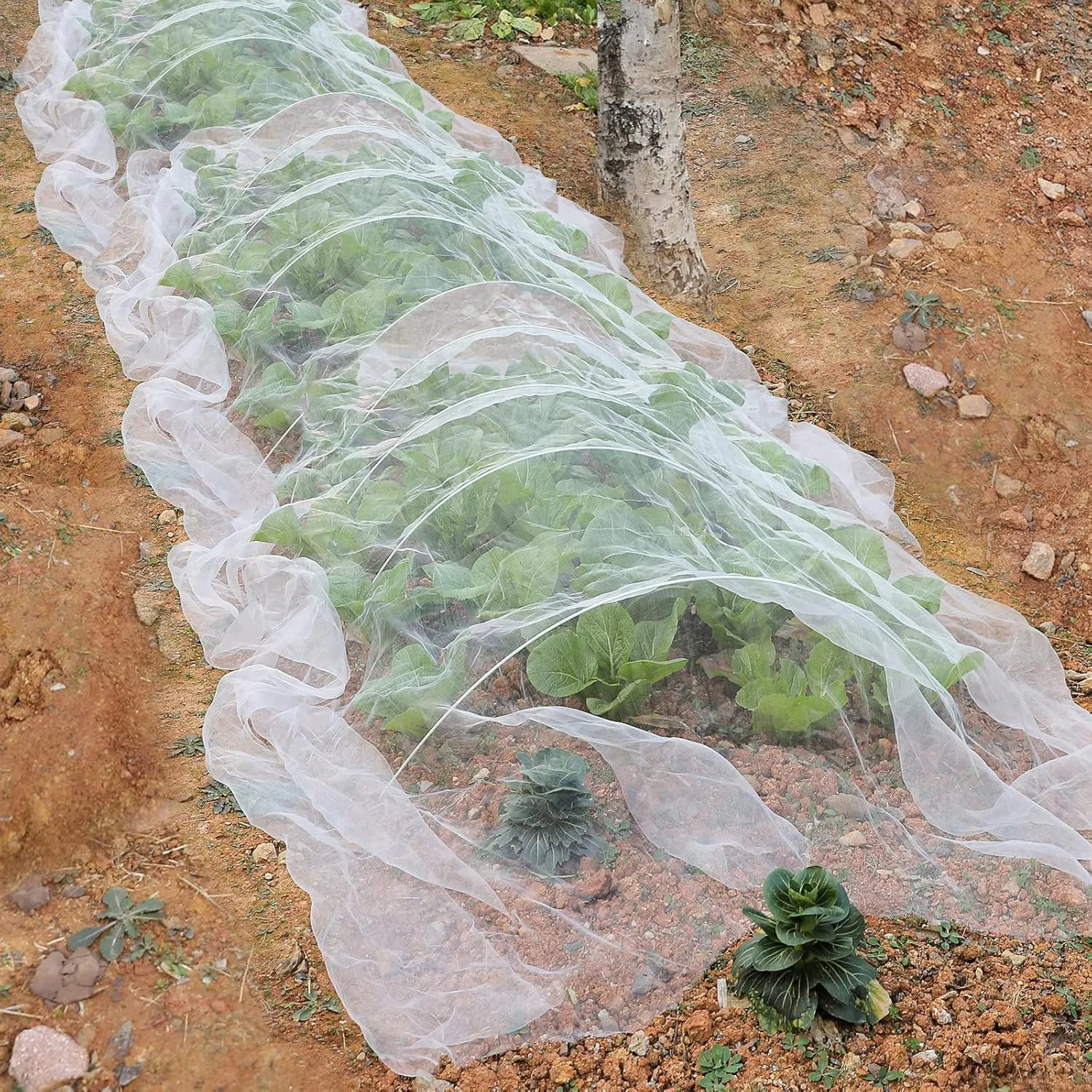 10 X 50FT Garden Mesh Netting Barrier,Fruit Tree Plant Netting for Vegetable Blueberry Bushes Plant Row Cover Screen Protection