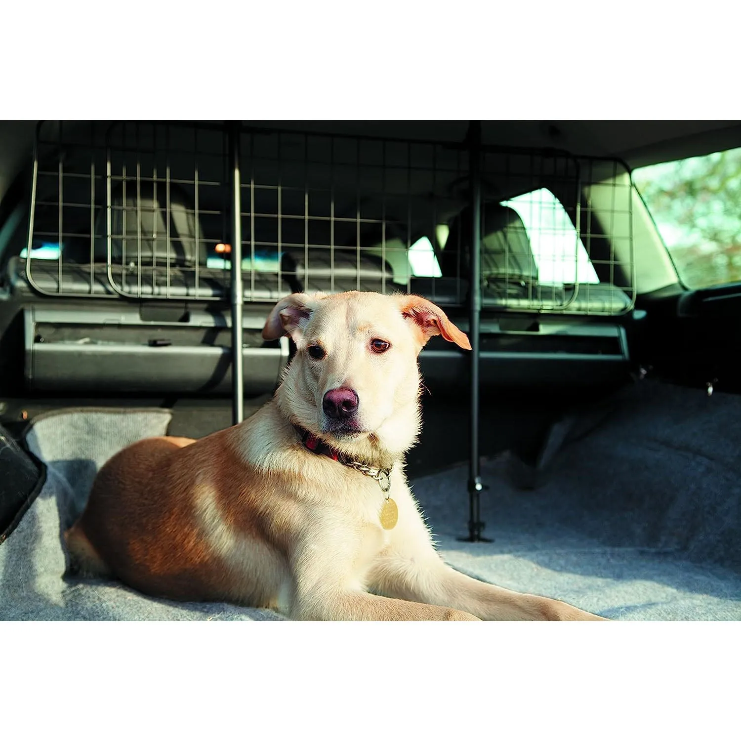 Adjustable Mesh Dog Barriers