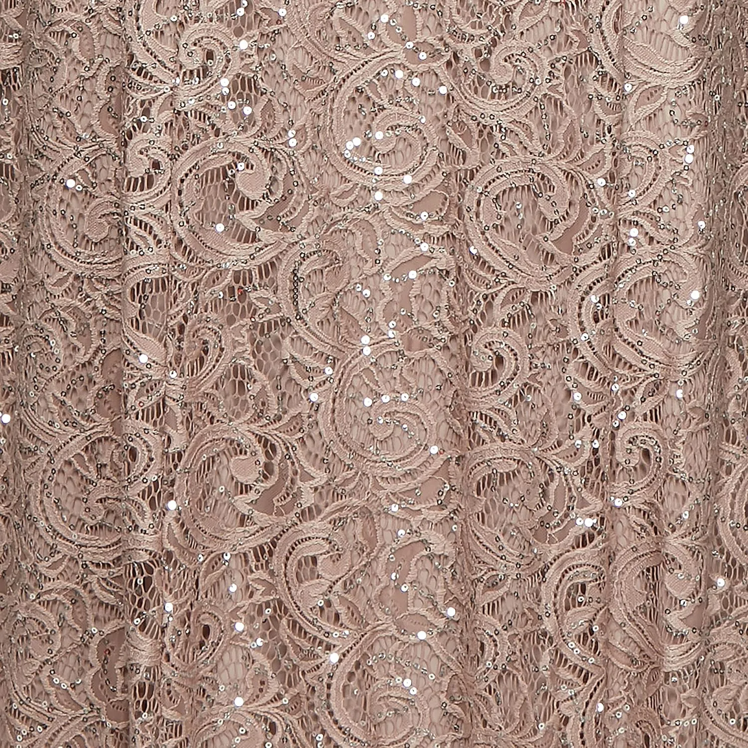 Alex Evenings Women's Long Lace Jacket Dress
