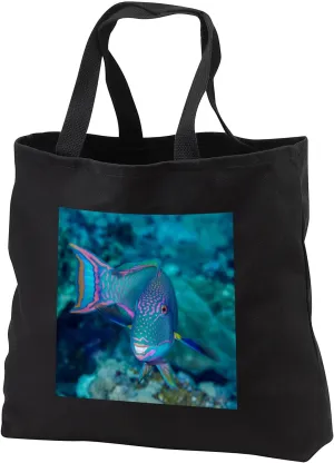 Black Tote Bag JUMBO 20w x 15h x 5d - South Pacific, Solomon Islands. Close up of parrotfish Fish