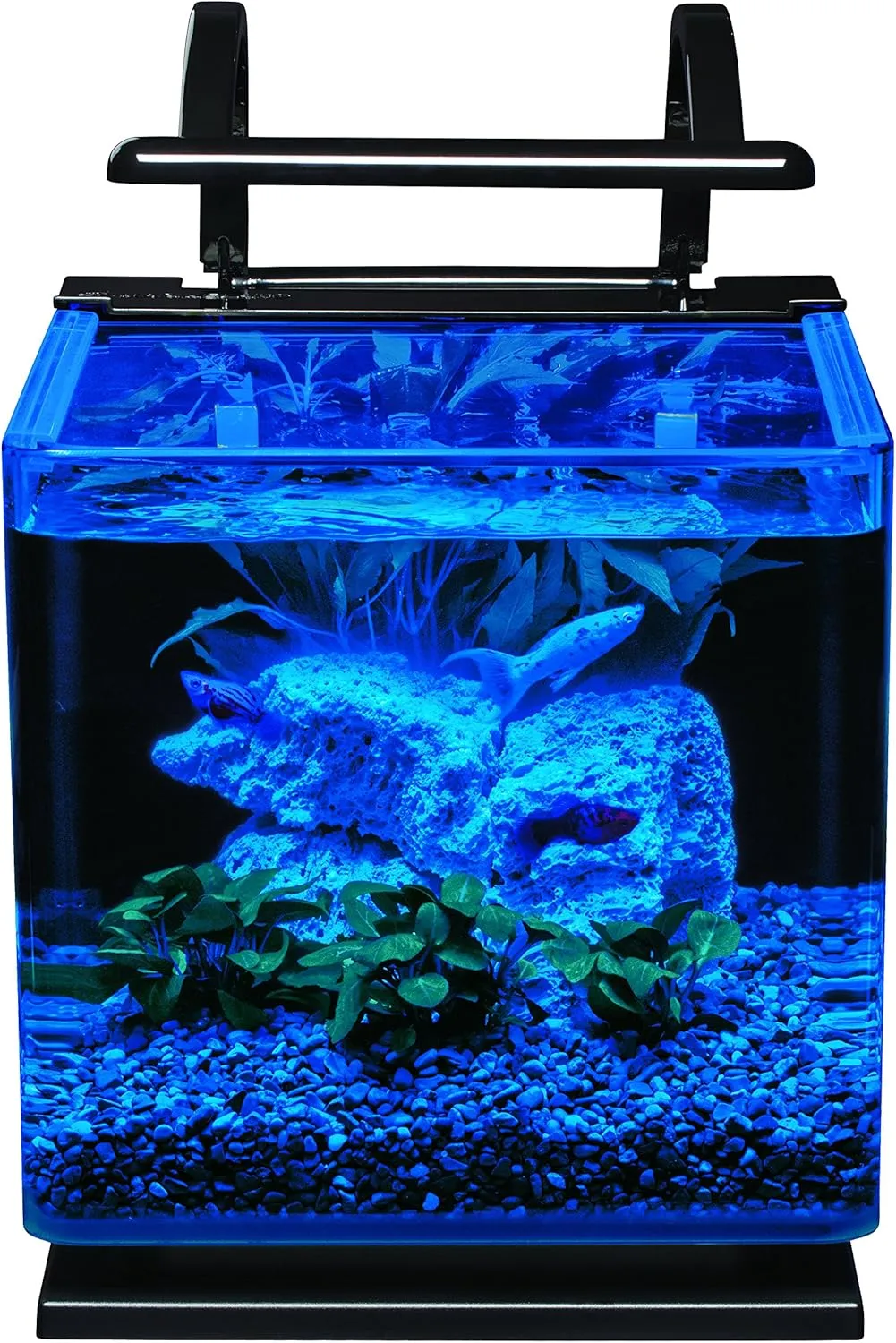 Marineland Contour 3 Aquarium Kit 3 Gallons, Rounded Glass Corners, Includes LED Lighting