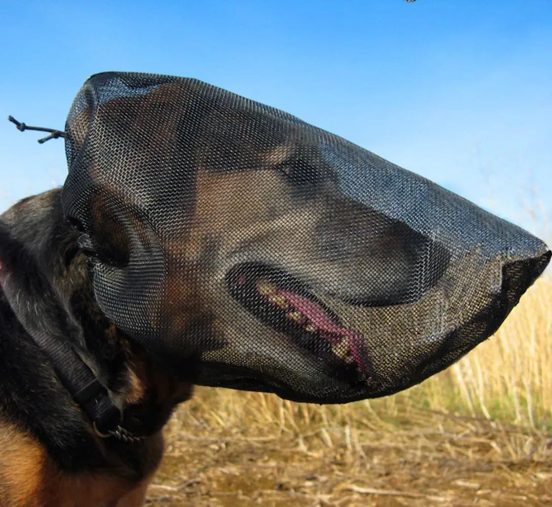 OutFox Field Guard Size XS - Vet-Recommended Dog Safety Mask for Foxtails, Grass Seeds, Bugs and Debris | Breathable, Lightweight, Patented Design | Multiple Sizes