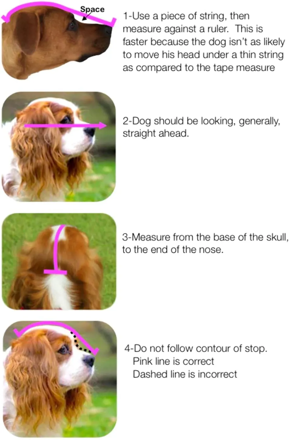 OutFox Field Guard Size XS - Vet-Recommended Dog Safety Mask for Foxtails, Grass Seeds, Bugs and Debris | Breathable, Lightweight, Patented Design | Multiple Sizes