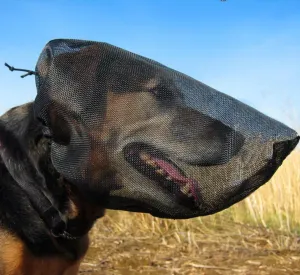 OutFox Field Guard Size XS - Vet-Recommended Dog Safety Mask for Foxtails, Grass Seeds, Bugs and Debris | Breathable, Lightweight, Patented Design | Multiple Sizes