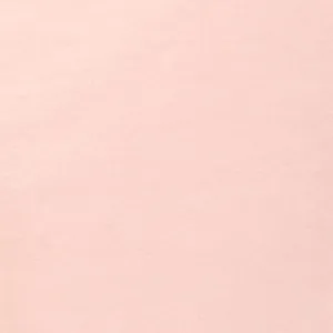 Paper Mart Blush Light Pink Matte Tissue Paper, Bulk Quantity of 480 Sheets, Tissue Paper for Gift Bags and Packing, 20 x 30 Inch Sheets